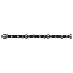 Camshaft w/o Gear & w/o Lifters