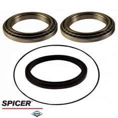 Dana/Spicer Planetary Wheel Hub Bearing & Seal Kit, MFD