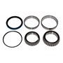 Bearing & Seal Kit, MFD, 12 Bolt Hub