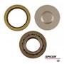 Dana/Spicer Kingpin Bearing & Seal Kit, MFD, 10 Bolt Hub