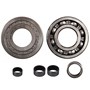 IPTO Output Shaft Bearing Kit, 540 & 1000 RPM