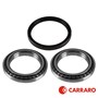 Carraro Axle Hub Bearing & Seal Kit, MFD