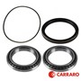 Carraro Planetary Hub Bearing & Seal Kit, MFD