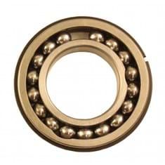 IPTO Ball Bearing, w/ 17 Balls