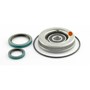 Clutch Bearings & Seal Kit