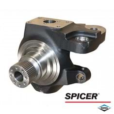 Dana/Spicer Steering Knuckle, MFD, LH, 12 Bolt Hub