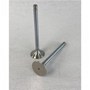 Exhaust Valve