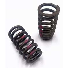 Valve Spring, Pink Stripe