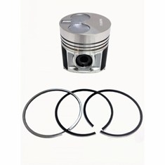 Piston & Ring Kit, Standard