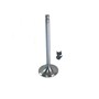 Intake Valve Kit