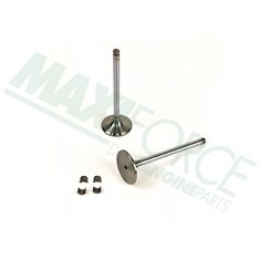 Intake Valve Kit