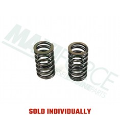 Valve Spring