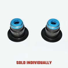 Valve Seal