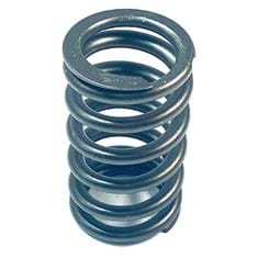 Valve Spring