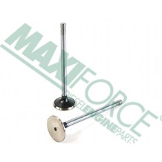 Exhaust Valve