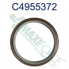 Rear Crankshaft Seal