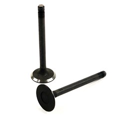 Intake Valve