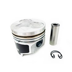 Piston, w/ Pin &amp; Retainers, .50mm