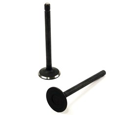 Exhaust Valve