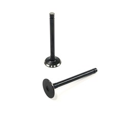 Exhaust Valve