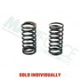 Inner Valve Spring