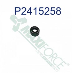 Valve Stem Seal