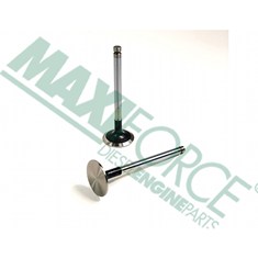 Exhaust Valve