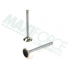 Exhaust Valve, 45 Degree
