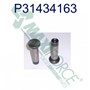 Valve Lifter