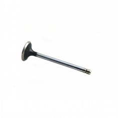Exhaust Valve