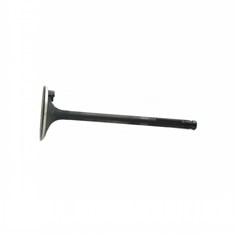 Intake Valve