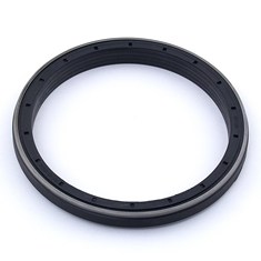 Rear Crank Seal