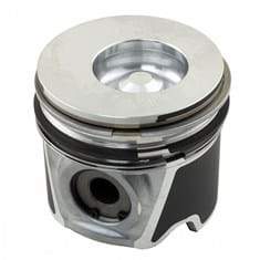 Piston & Rings, Standard