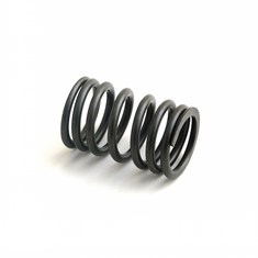 Exhaust Outer Valve Spring
