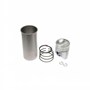 Cylinder Kit, 3.625" bore, dome top piston with .875" pin