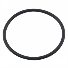 Liner Sealing Ring