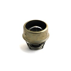 Thermostat, 160 Degree
