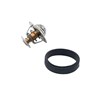 Thermostat Kit