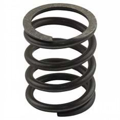 Valve Spring