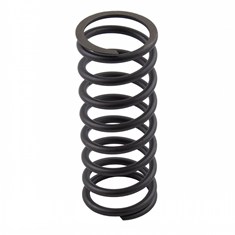 Valve Spring