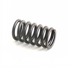 Valve Spring