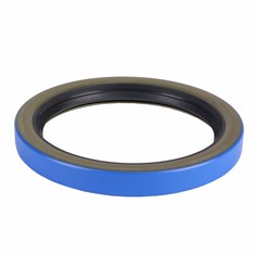 Rear Crankshaft Seal