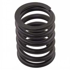 Valve Spring