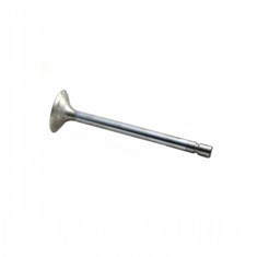Exhaust Valve
