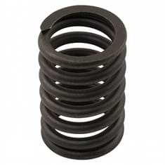 Valve Spring