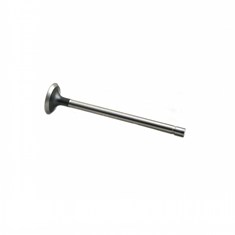 Exhaust Valve