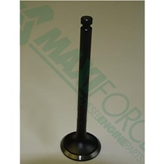 Intake Valve