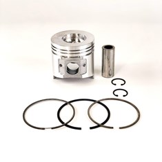 Piston &amp; Ring Kit, Standard