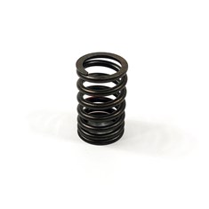 Valve Spring