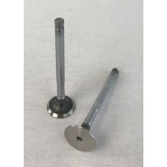 Exhaust Valve